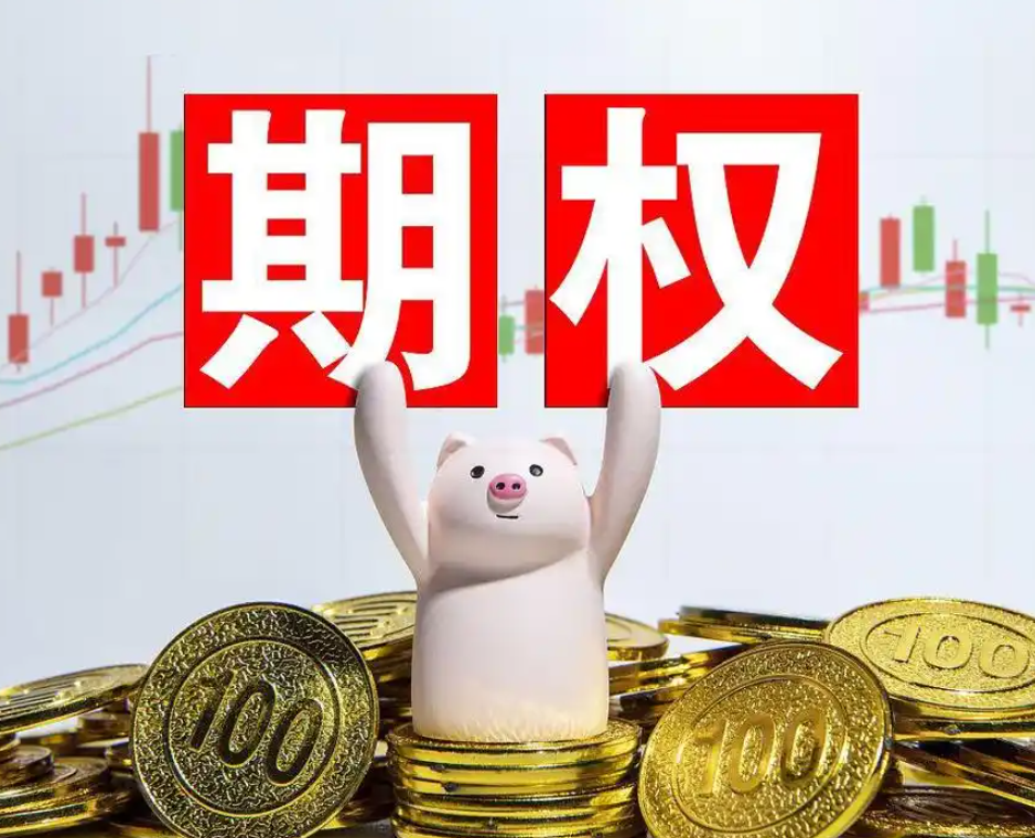 一家机构狂买“数十亿美元”看涨期权