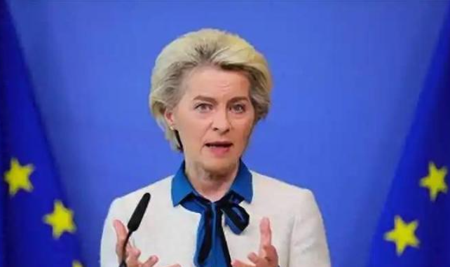 德国媒体称德国军事人员在到达格陵兰岛44小时后